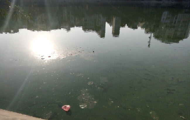 Sông hồ Hà Nội đang bị nhiễm bẩn nước thải nặng chưa được xử lý? 2