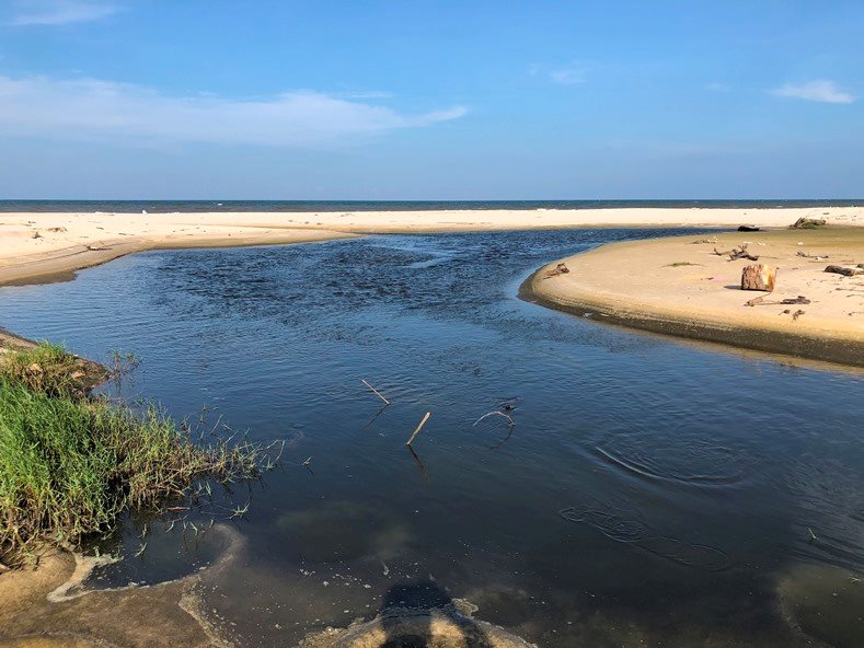 Quảng Bình: nhiều huyện nuôi tôm chưa đảm bảo hệ thống xử lý nước thải