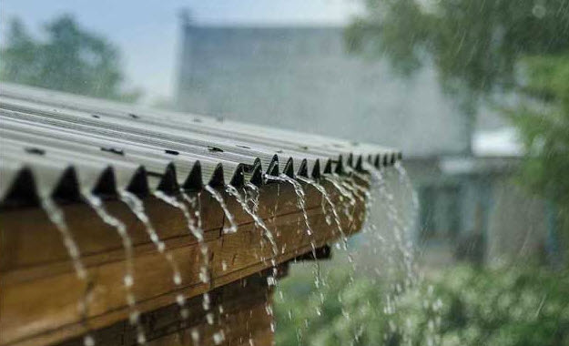 Sử dụng nước mưa trực tiếp có nguy hiểm hay không trong thời đại nay? 2