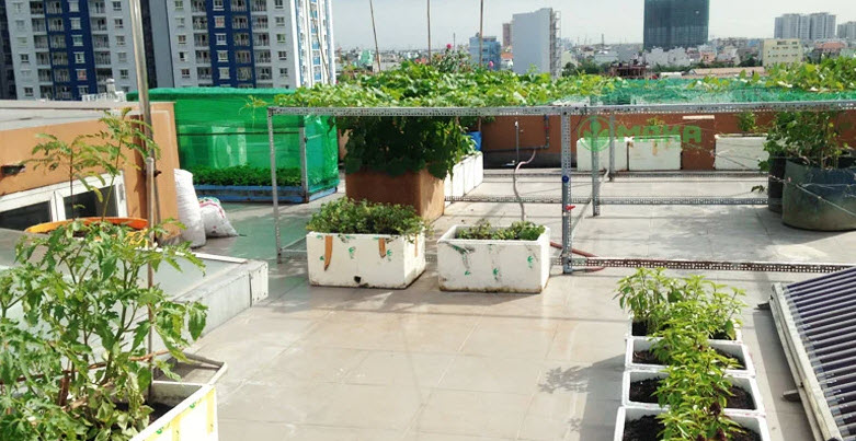 Báo giá hệ thống tưới cây vườn rau tự động trên sân thượng ở TP Vinh, Nghệ An 1
